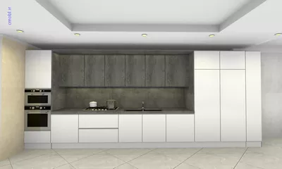 فريبرز تقي دوستcabinet