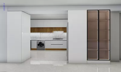 فريبرز تقي دوستcabinet