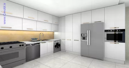 فريبرز تقي دوستcabinet