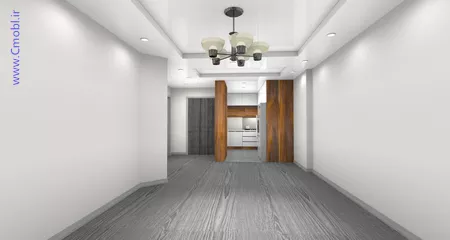 فريبرز تقي دوستcabinet