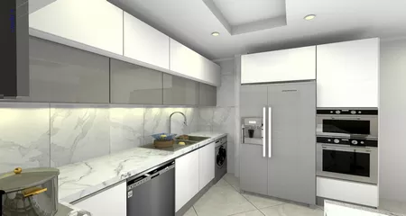 فريبرز تقي دوستcabinet