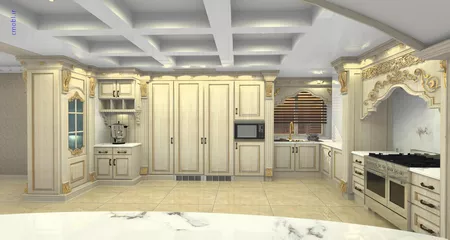 فريبرز تقي دوستcabinet