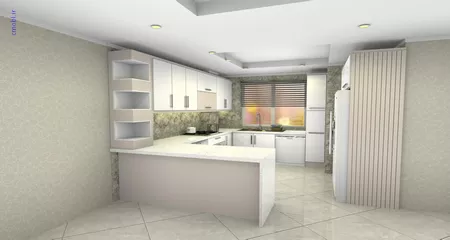 فريبرز تقي دوستcabinet