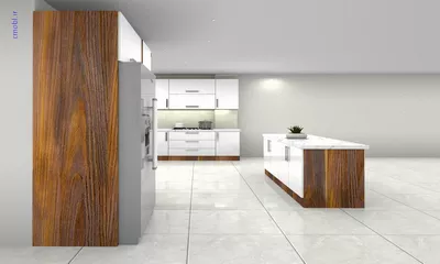 فريبرز تقي دوستcabinet