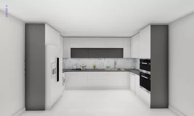 فريبرز تقي دوستcabinet