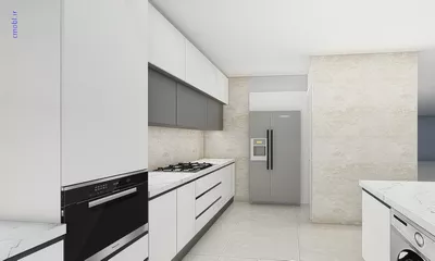 فريبرز تقي دوستcabinet