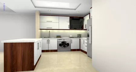 فريبرز تقي دوستcabinet