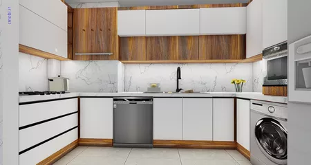 فريبرز تقي دوستcabinet