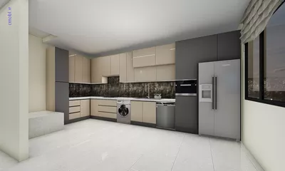 فريبرز تقي دوستcabinet