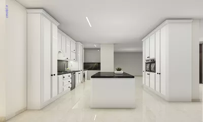 فريبرز تقي دوستcabinet