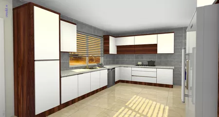فريبرز تقي دوستcabinet