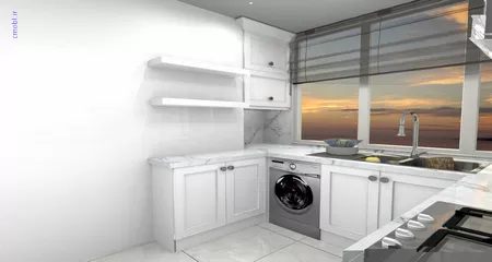 فريبرز تقي دوستcabinet