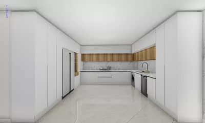 فريبرز تقي دوستcabinet