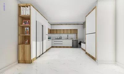 فريبرز تقي دوستcabinet