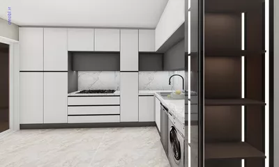 فريبرز تقي دوستcabinet