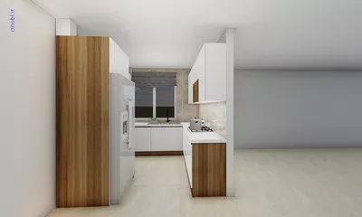فريبرز تقي دوستcabinet