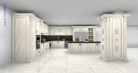 فريبرز تقي دوستcabinet