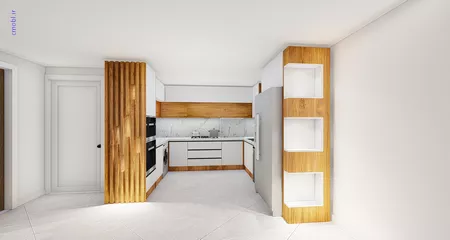 فريبرز تقي دوستcabinet