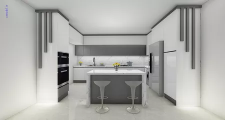 فريبرز تقي دوستcabinet