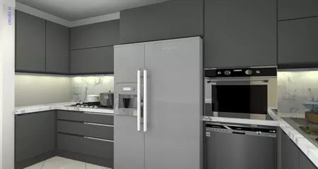 فريبرز تقي دوستcabinet