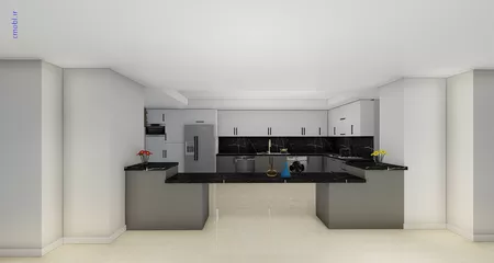 فريبرز تقي دوستcabinet