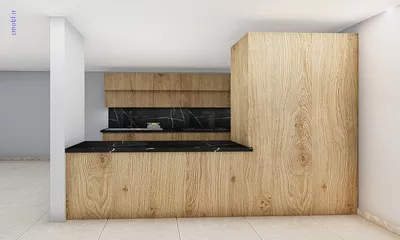 فريبرز تقي دوستcabinet