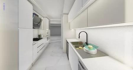 فريبرز تقي دوستcabinet