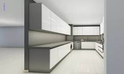 فريبرز تقي دوستcabinet
