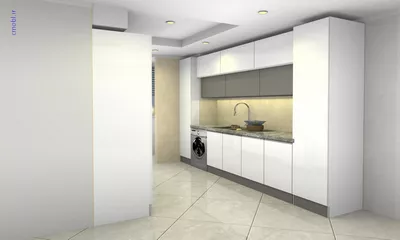 فريبرز تقي دوستcabinet