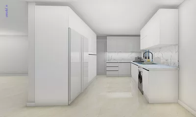فريبرز تقي دوستcabinet