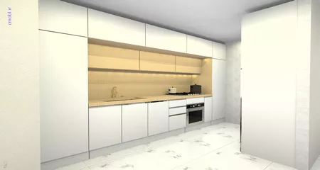فريبرز تقي دوستcabinet