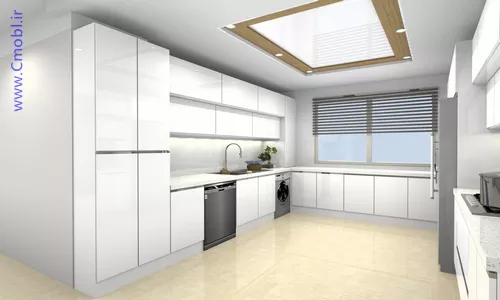 فريبرز تقي دوستcabinet