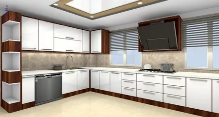 فريبرز تقي دوستcabinet