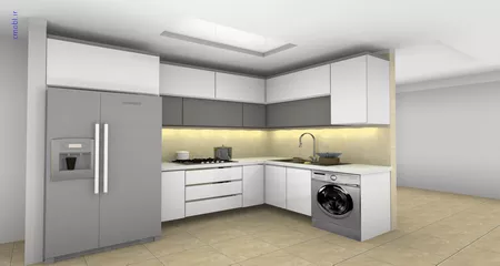 فريبرز تقي دوستcabinet