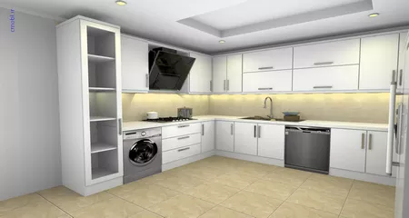 فريبرز تقي دوستcabinet
