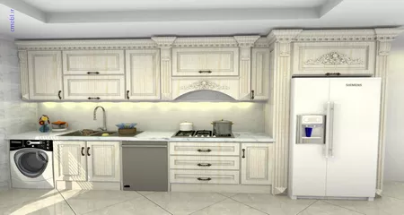 فريبرز تقي دوستcabinet