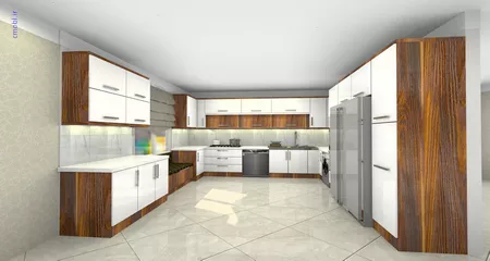 فريبرز تقي دوستcabinet