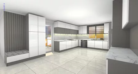 فريبرز تقي دوستcabinet