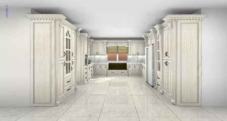 فريبرز تقي دوستcabinet
