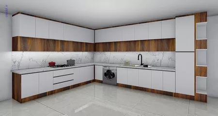 فريبرز تقي دوستcabinet