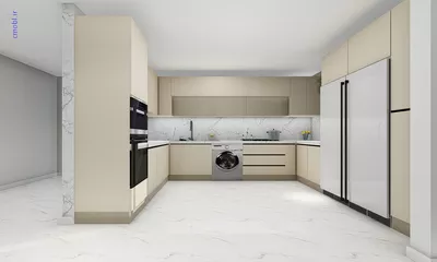 فريبرز تقي دوستcabinet
