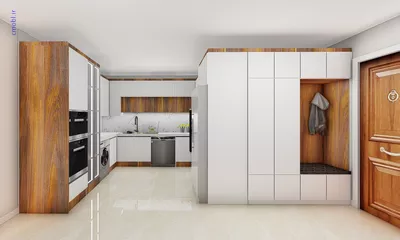فريبرز تقي دوستcabinet