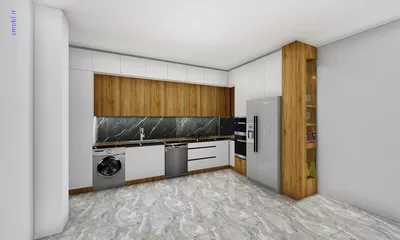 فريبرز تقي دوستcabinet
