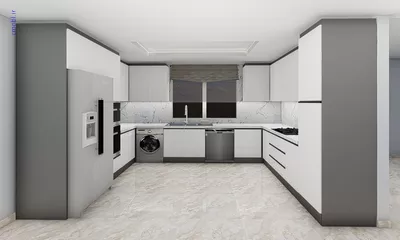 فريبرز تقي دوستcabinet