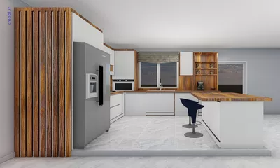 فريبرز تقي دوستcabinet
