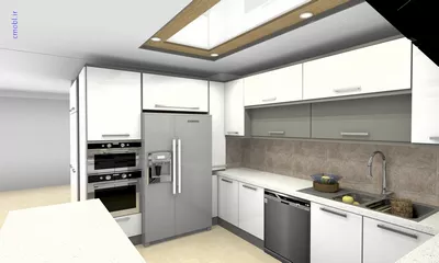 فريبرز تقي دوستcabinet