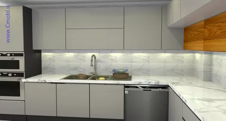فريبرز تقي دوستcabinet