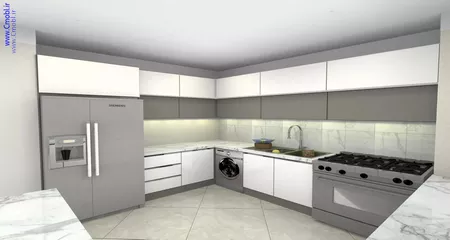 فريبرز تقي دوستcabinet
