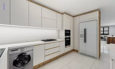 فريبرز تقي دوستcabinet