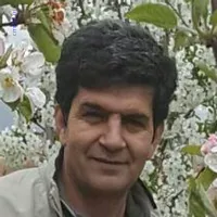 علي طالبي